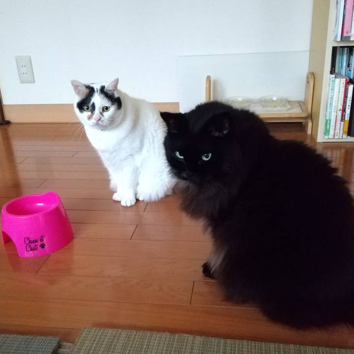 8d17b150 70d4 422b a3b4 a50e476aa3c5 1600988393088