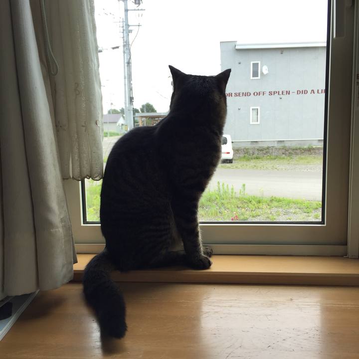 8d17c6d7 a970 4dfb b734 265bc672a6ea 1531681401406