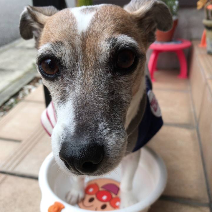 8d17cba0 ffcf 4a02 bbf1 eb72f4b64ae2 1521509450677