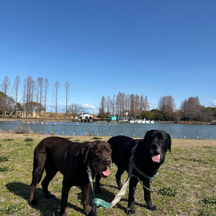 8d17dcbc 9209 4407 9123 f09d4674f14d 1772453753025