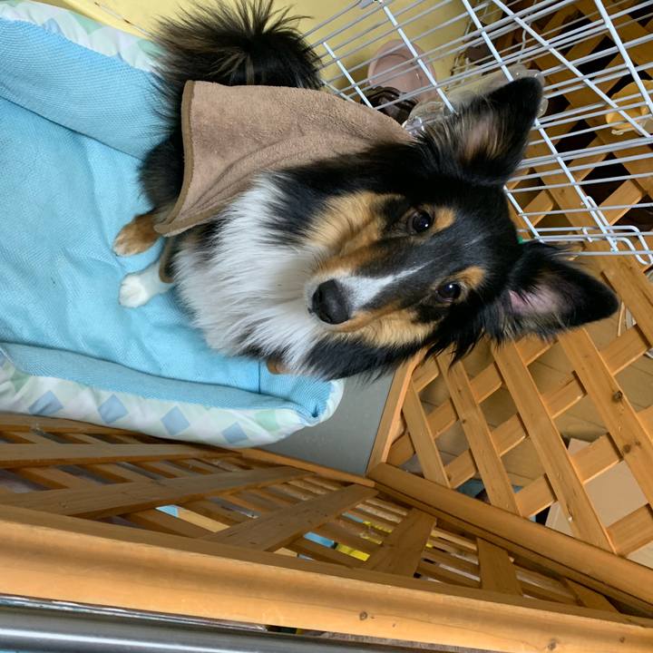 8d183c9c fb75 48af 9d42 dde8bb77e112 1549893001564