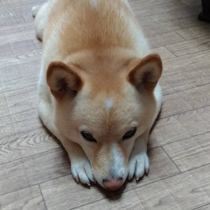 8d184182 d5a4 499a 80bd f8acd2e1b20d 1588919864703