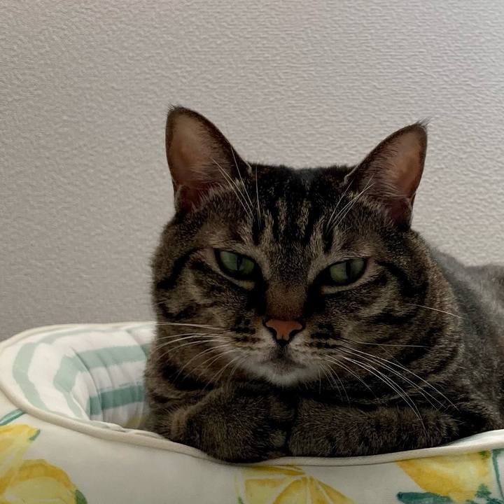 8d1886cb 2956 47a6 8472 6d52c030a4e0 1661239294873