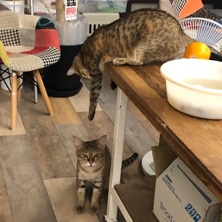 8d18a802 1d66 4b8b 8c84 fd8779d2b5d0 1596710829569