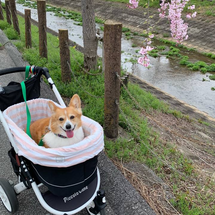 8d18d787 cb87 4f26 bf84 9ad0675daf4f 1712547171797