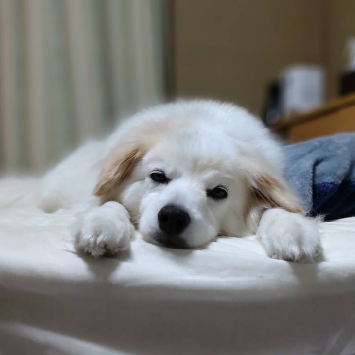 8d18f079 cbd4 4728 8674 68944c0e5722 1655761847619