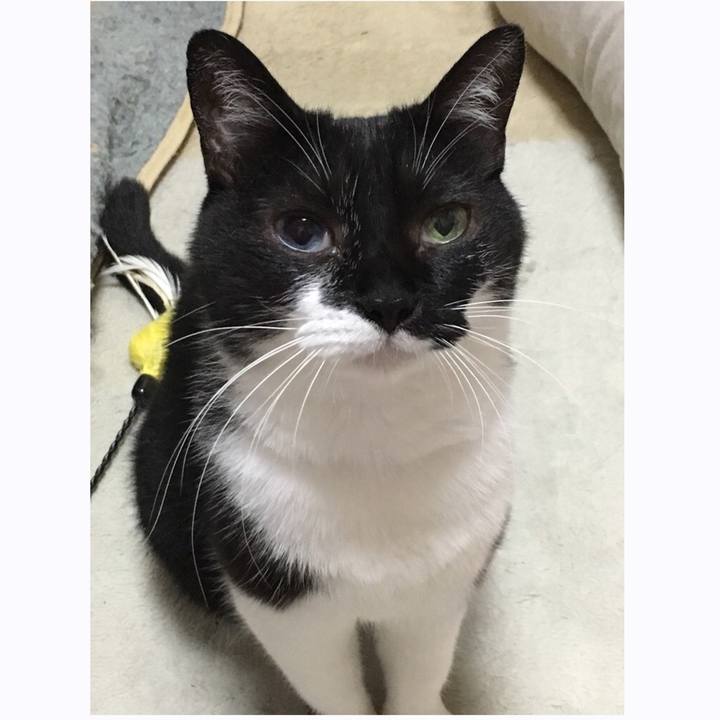 8d18fc75 da0b 480a aa8d 410ca5197e3b 1533644997739