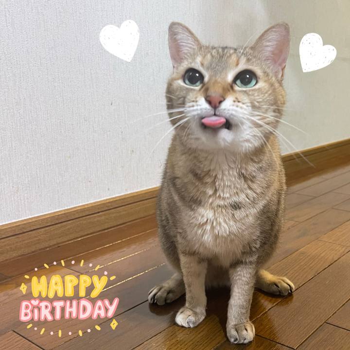 8d193398 0642 48e8 ae8b 12241d03644b 1767091715383