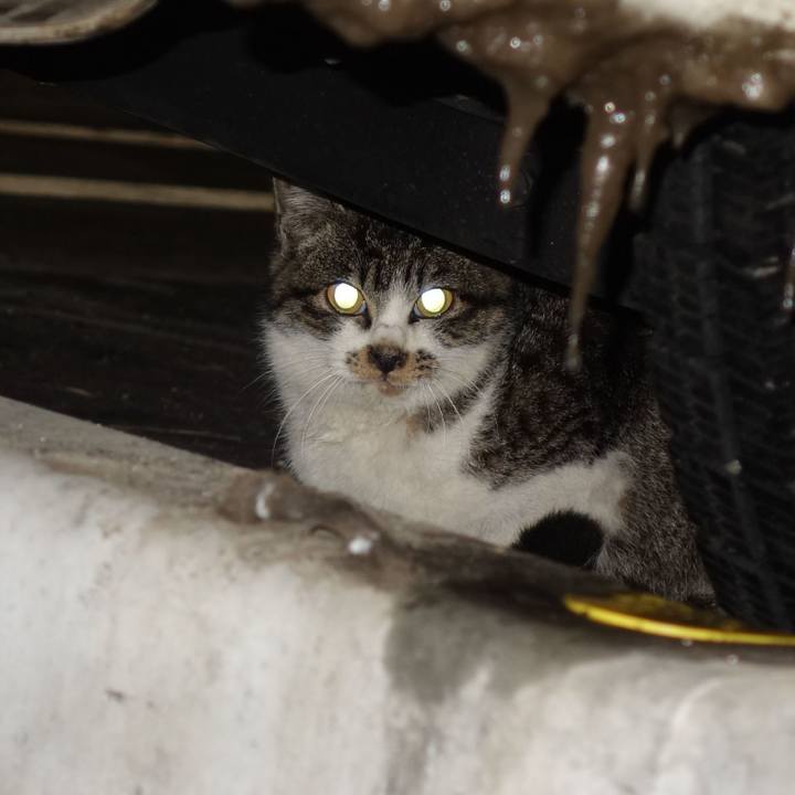 8d193a74 e557 4997 957f a3391705be4a 1761642828135