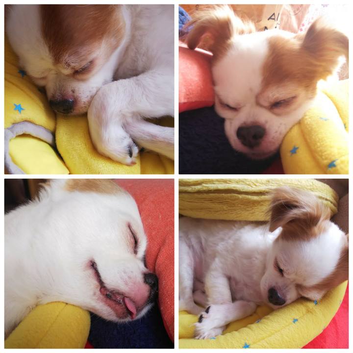 8d195d2f 4f0b 42ac ba15 48927ce94969 1569735487726