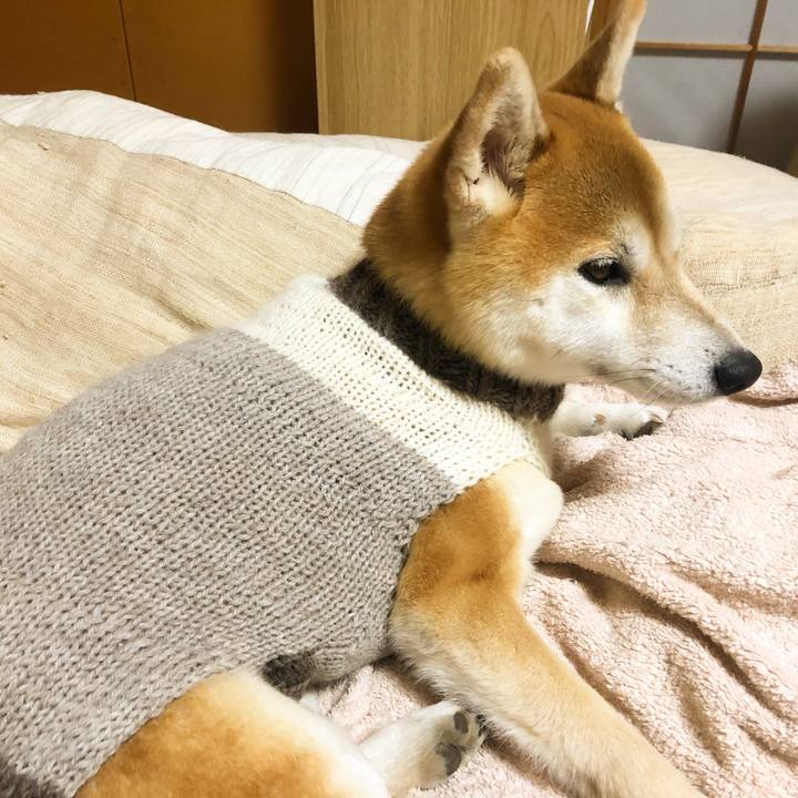 8d196f5c e187 4266 979f 0e01589f237c 1551957721567