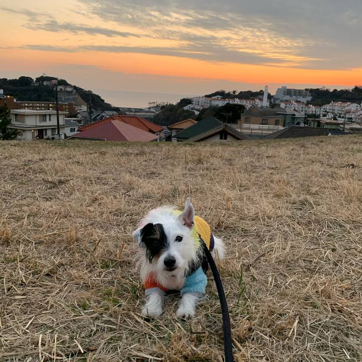 8d19cef6 9dad 4a56 b4dc ea7eec3c92f5 1674376196302