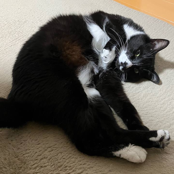 8d19d6a5 4795 4165 8b28 562e8a68f781 1721618268283