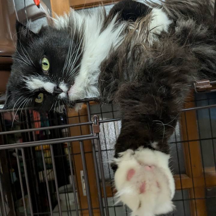 8d19f62d de68 4336 8e22 cff814706fd3 1719457442430