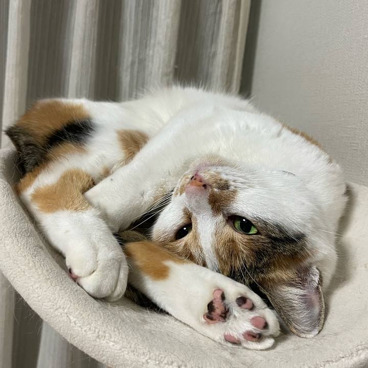 8d19ffea 78e1 4577 9012 5ebfdca72136 1705674254639