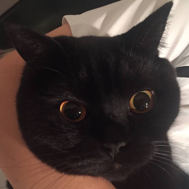 8d1a0241 3f36 4bfd a90a 3fa64c2f1d41 1538829566498