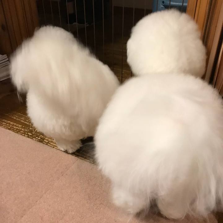 8d1a0aaf fe2d 487e 863b 1ed528889293 1529577770455