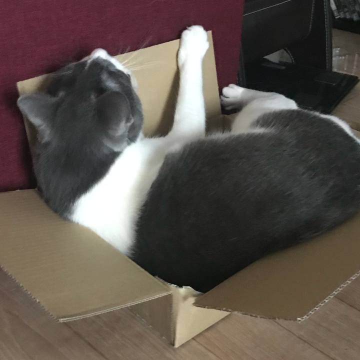 8d1a0eb4 c3ef 4fcf 92e7 1ce948e023c5 1624528725753