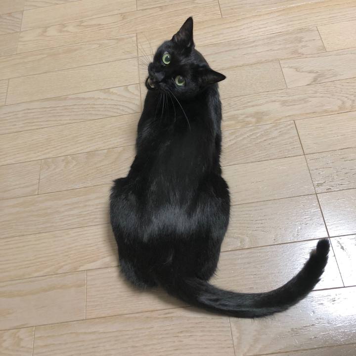 8d1a2e3f 3c54 4513 9fa8 90fa3a419e18 1605182594085