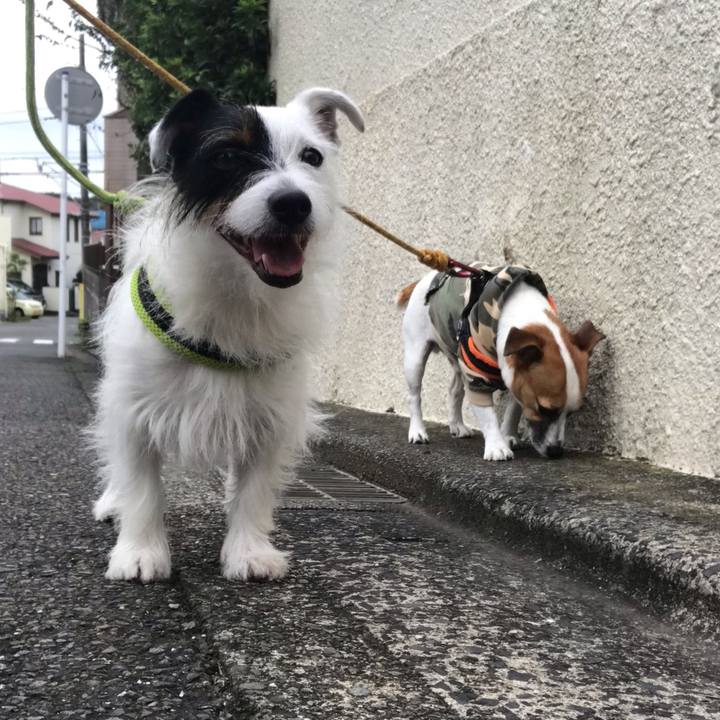 8d1a3f2c 1454 4cc2 a36a 1220425dcc18 1537400686635