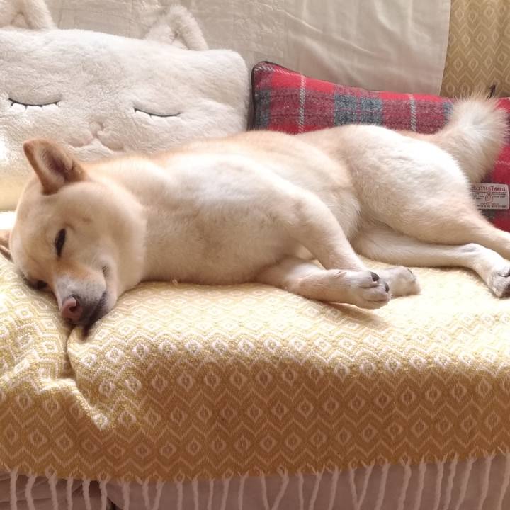 8d1a5425 3bd2 49d2 b48c 27465cbecbce 1555630488470