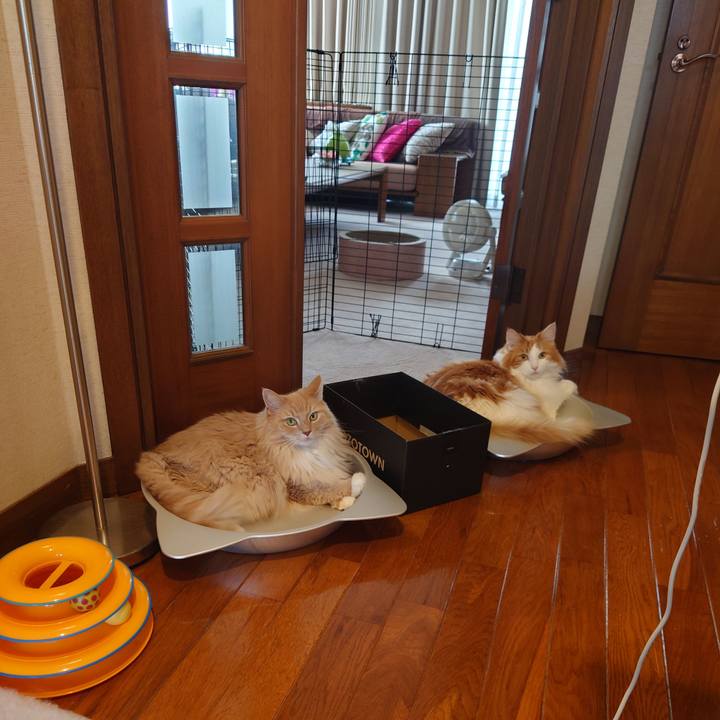 8d1a5b84 e256 4774 b3ce fa7a2837adf4 1630024633278