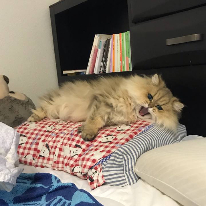 8d1aa6b5 bee6 4b69 b4ec e56db4f721b4 1541814932995