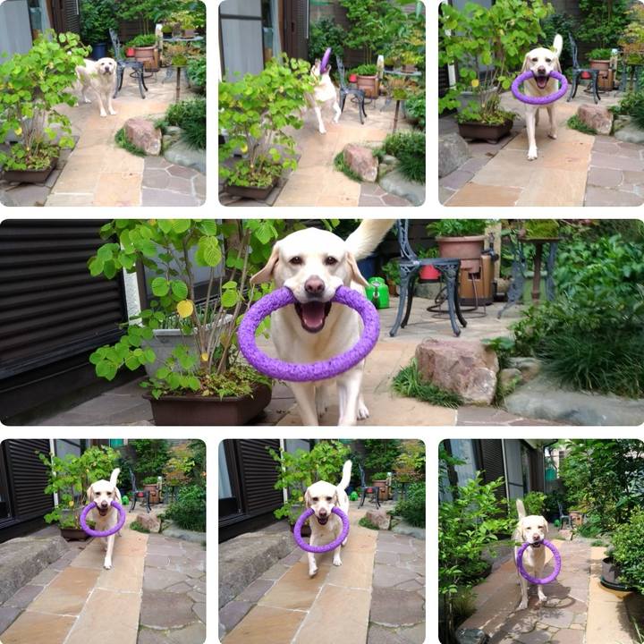 8d1ab861 c2ea 401f 8645 a94a7a414836 1563169204609