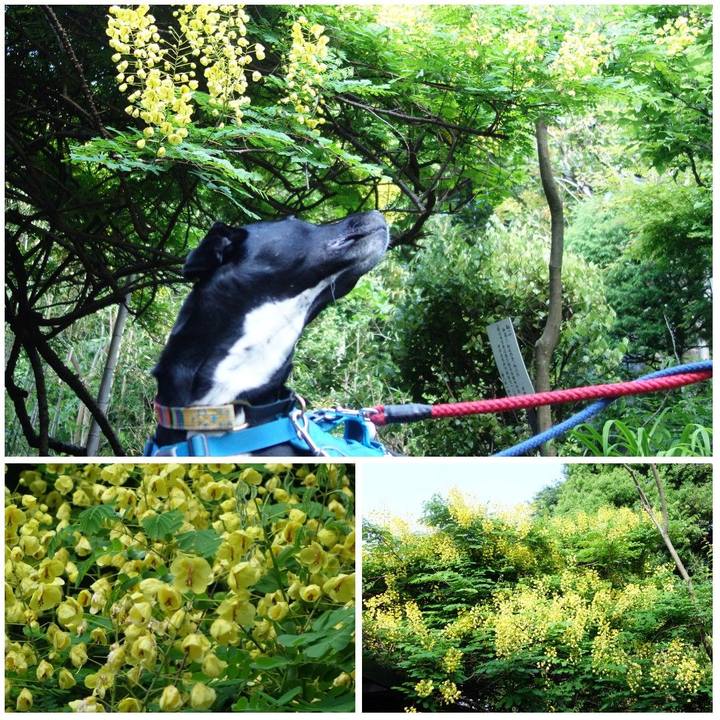 8d1b073a dbee 4411 910e a93686446bf9 1619917628634