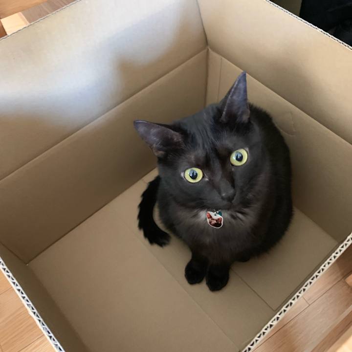 8d1b0823 0fcf 4a52 ac04 e795cf832fb4 1549844216866