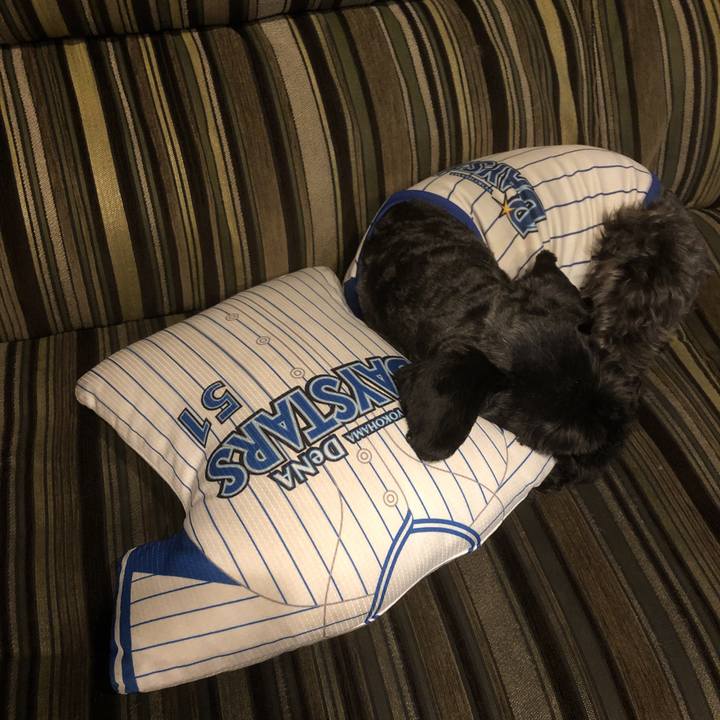 8d1b2635 746a 422a b9d2 c83be9f55323 1563274692420