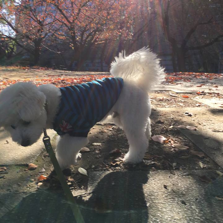 8d1b3193 db35 4e6c ad0b 9fb022ffb4ab 1510201235127