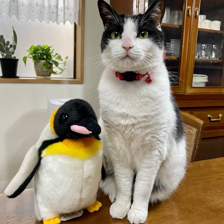 8d1b3922 8ad5 4894 8048 1b9d8b1e5caf 1651365158965