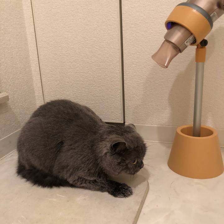 8d1b3e77 746f 41f2 9b64 fa6b72c6b457 1536397315805