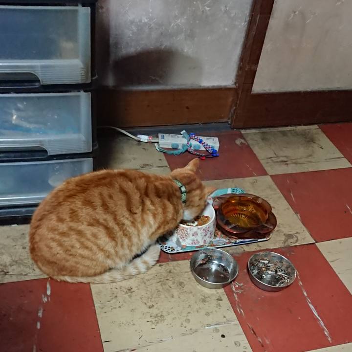 8d1b461d aa80 40f8 af17 bd1d9ed90660 1586035959624