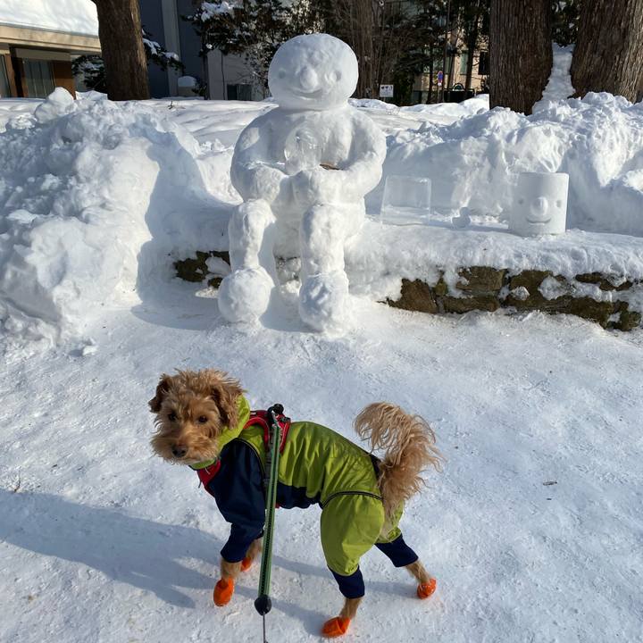 8d1b48fe 93a3 4891 a50d 8c6892546187 1674442707920