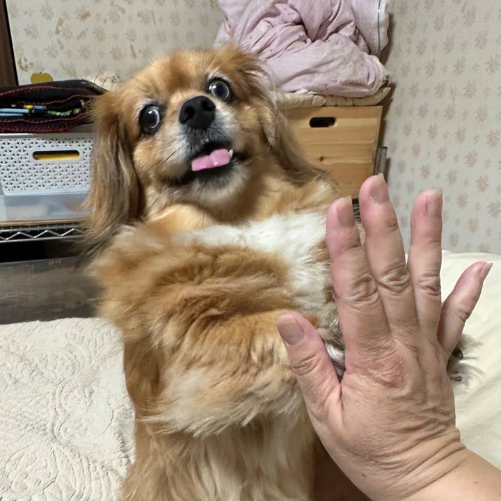 8d1b5062 e1fb 4201 8bb7 bc64e40214c8 1719521471827