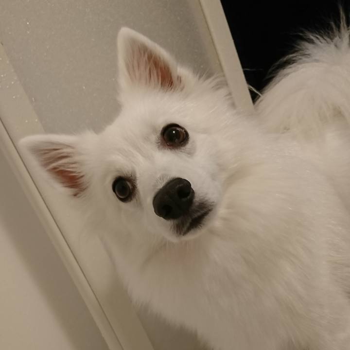 8d1b6892 e8ab 4c22 889c d19f188159f4 1537950174210