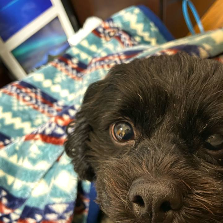 8d1b8fc5 e7c1 437d 9220 aa619e18f3fc 1572449090086