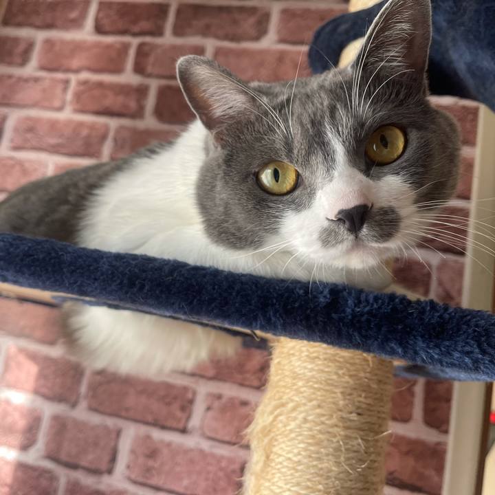 8d1b9837 f4da 45d3 8fb5 c8bb351db366 1645399002713