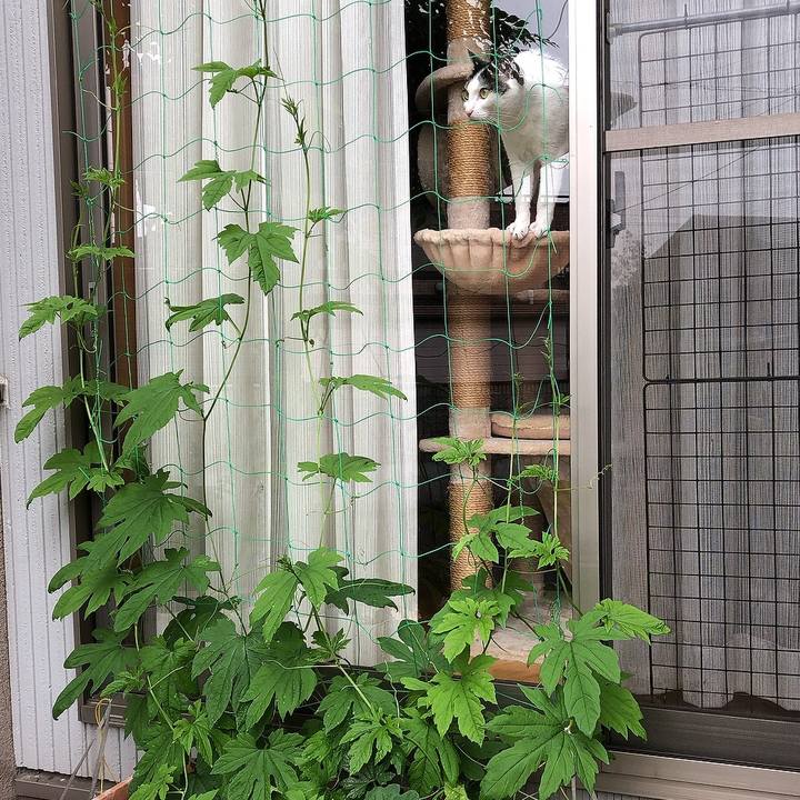 8d1bcfa9 b000 4580 b2b9 b126c12fff45 1687419968946