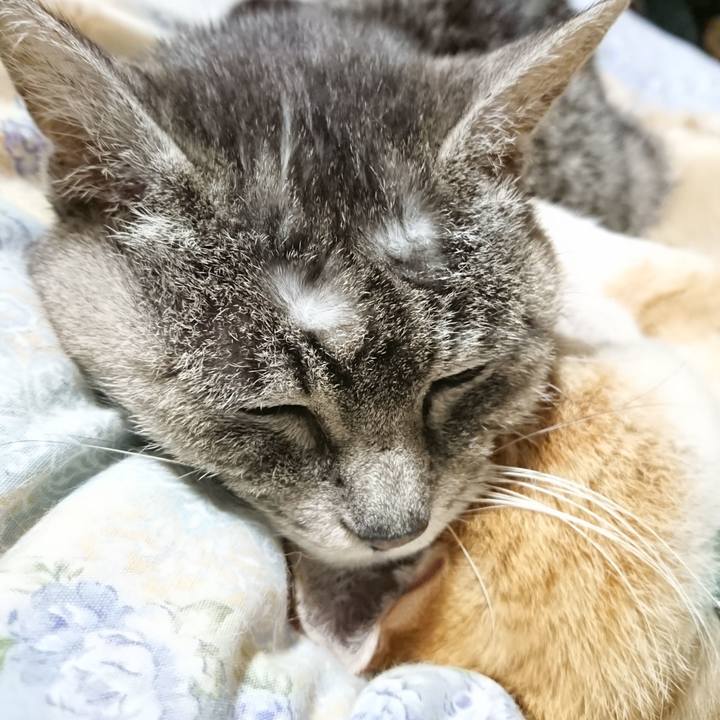 8d1c0704 ff51 492c 82af 6fb7dda9e3f5 1583155790663