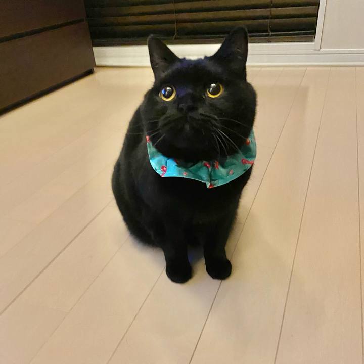 8d1c2ba3 5eb3 416c 8c26 b5276f166ffd 1649848546250