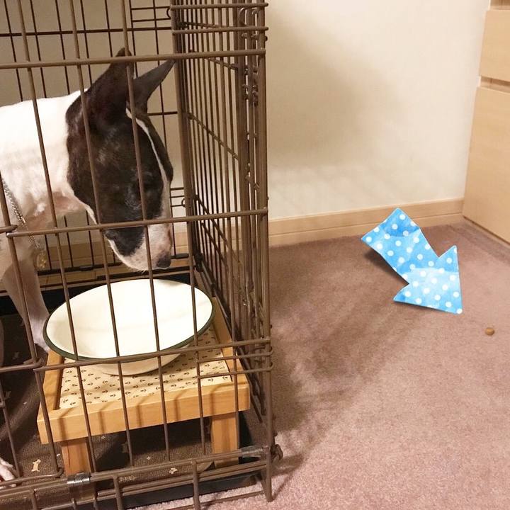 8d1c3bd7 9815 4dd8 afe2 ec1e855dd3cb 1521017287606