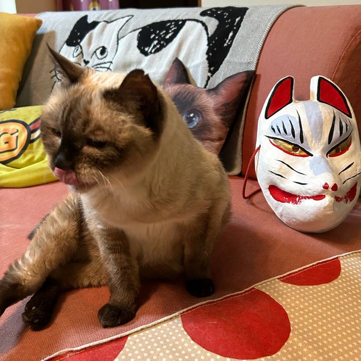 8d1c674c d6b5 446c 8ad8 157026125f76 1693044204444