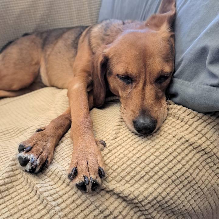 8d1c6df9 90d3 4a46 9305 54e71db34265 1766198017725