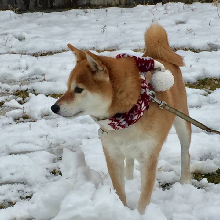 8d1c71c7 b56a 4d42 9ece bead39916bc8 1549865200814