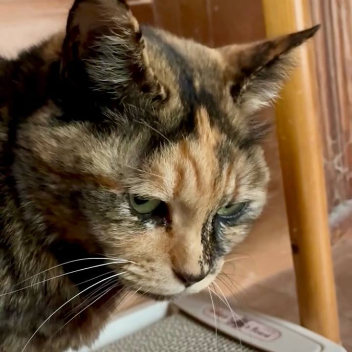 8d1c7ed0 bd10 47fa 938b 344a298fbf7c 1771940278967