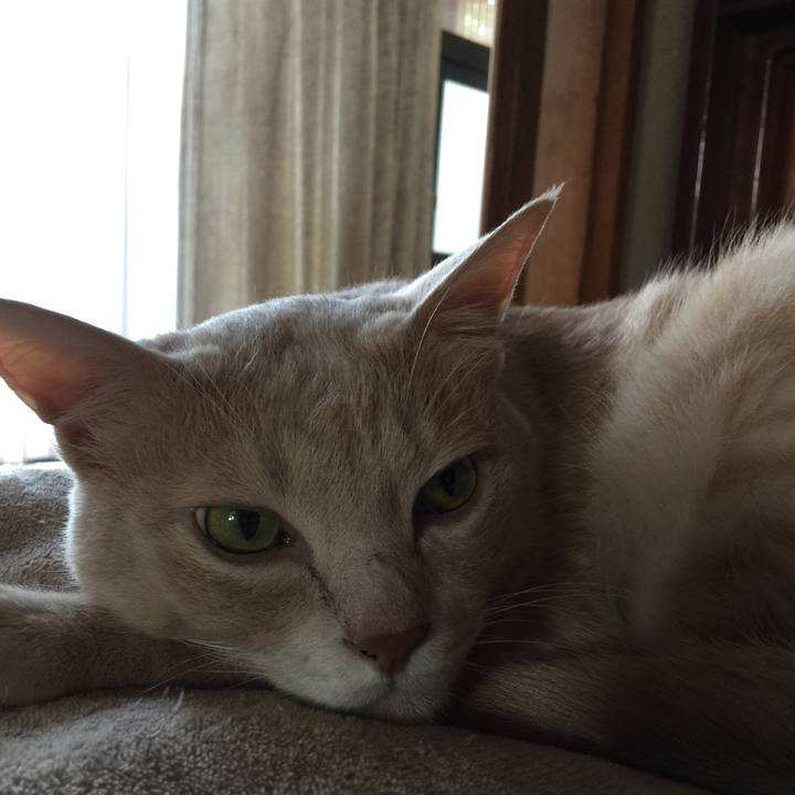 8d1c90a2 acf0 4f37 8add dbccbfd91fa3 1628736562054