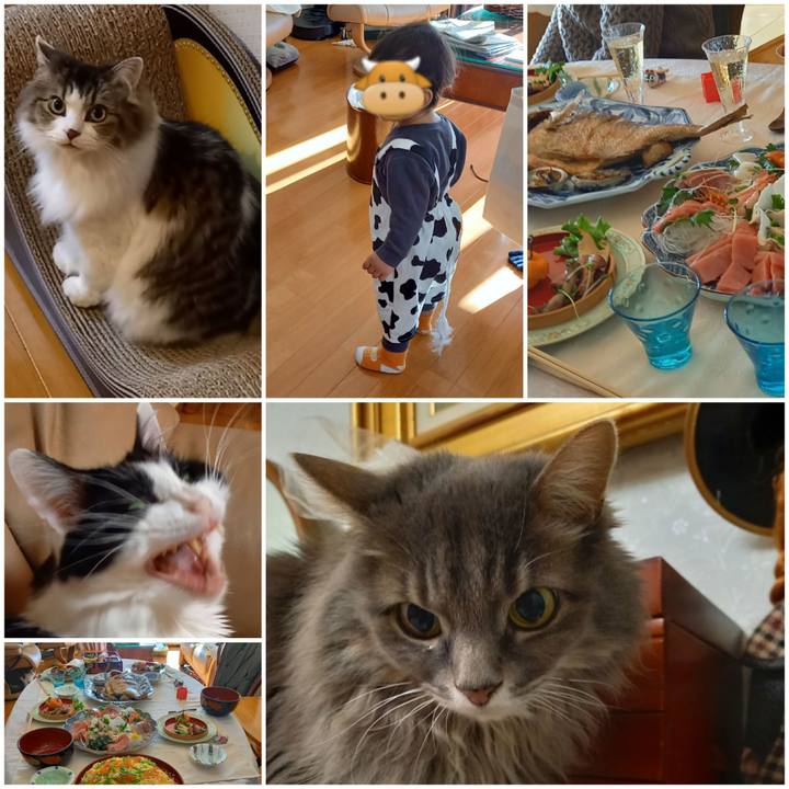 8d1cad86 2054 4a2e b8d6 acbf972cd9e7 1609548079042